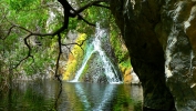 PICTURES/Darwin Falls/t_Darwin Falls2.JPG